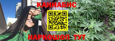 стаф Пенза